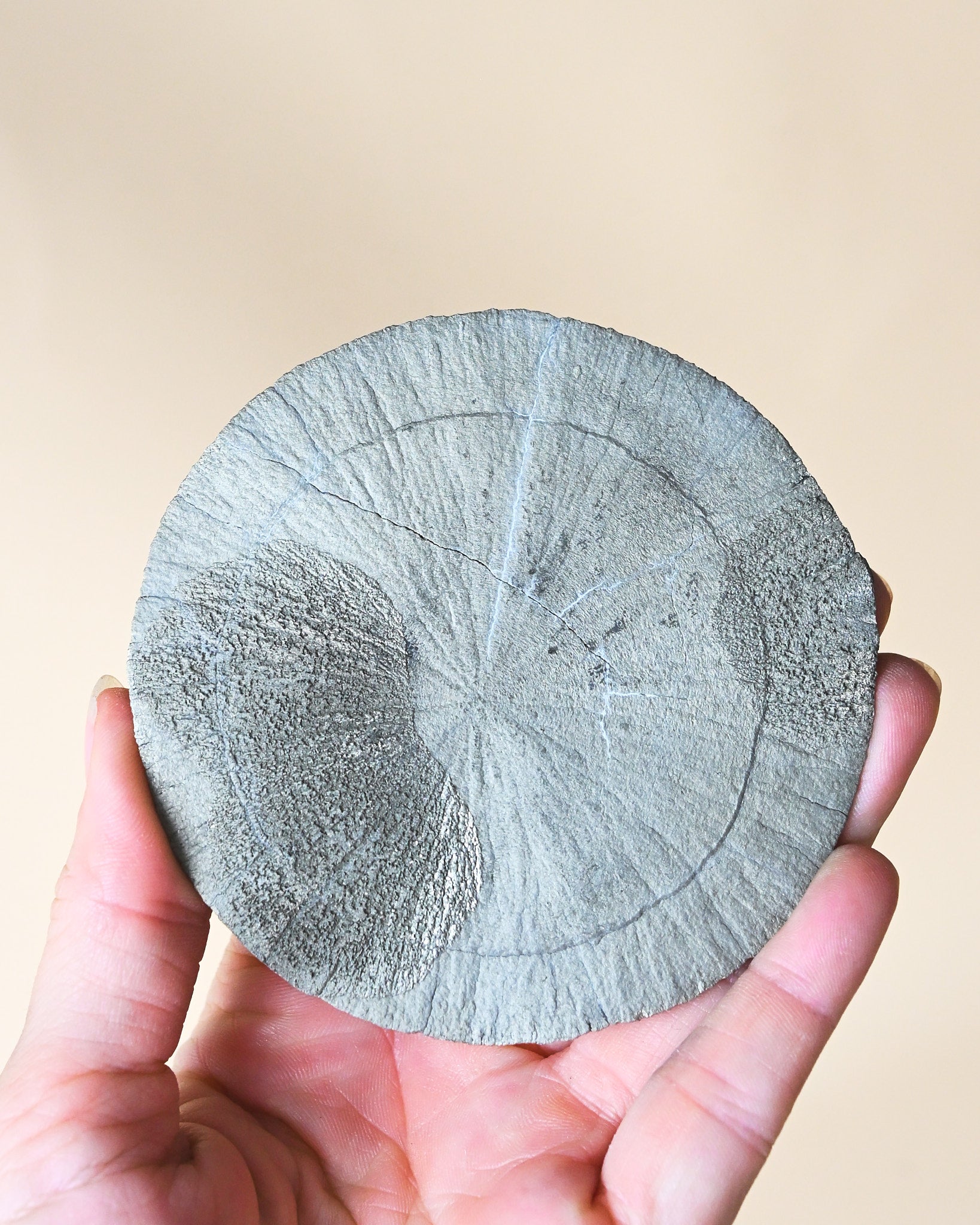 Pyrite sun held in hand, radial crystal formation