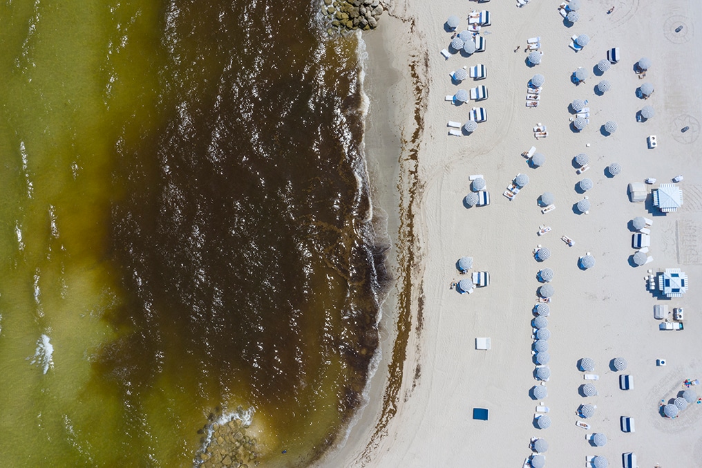 Miami Beach shoreline aerial, blue and white umbrellas scattered on sand, seaweed line and Atlantic shallows