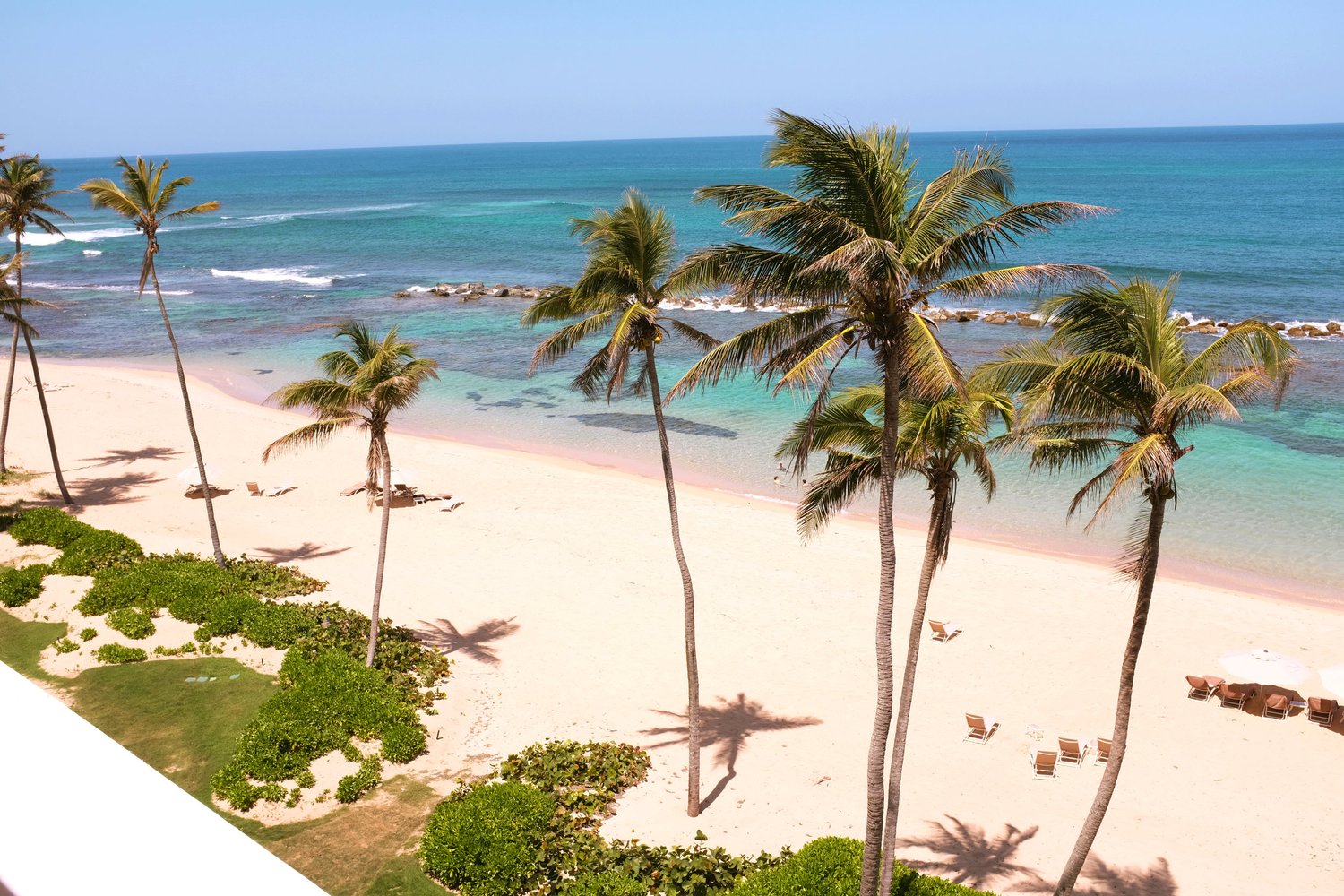 Caribbean palm beach from above, turquoise water, white sand, palm tree shadows