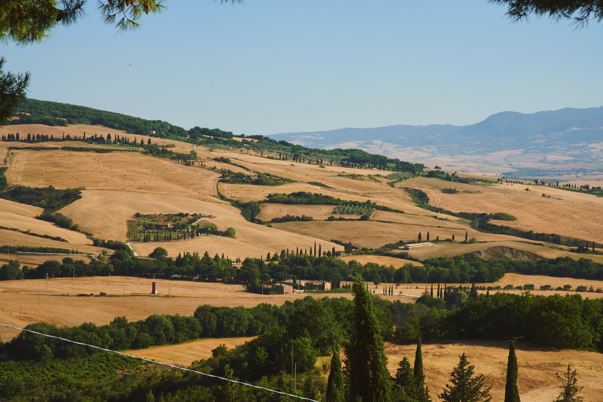 Tuscan hills panorama, wheat fields and cypress rows stretching to horizon